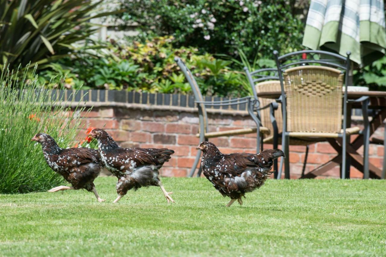 Moreton Hall Farm Bed & Breakfast Newport  Dış mekan fotoğraf
